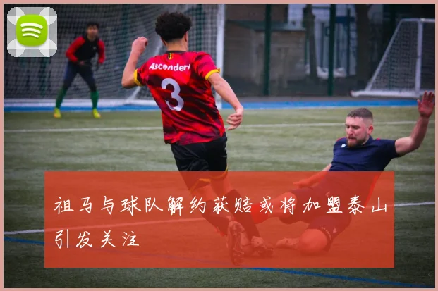 祖马与球队解约获赔或将加盟泰山引发关注