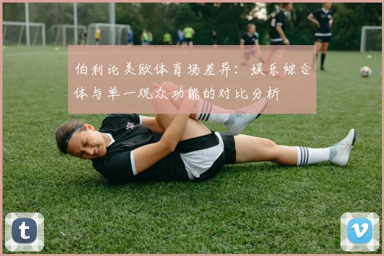 伯利论美欧体育场差异：娱乐综合体与单一观众功能的对比分析