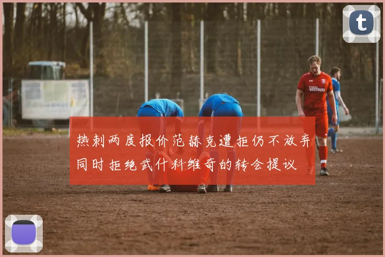 热刺两度报价范赫克遭拒仍不放弃同时拒绝武什科维奇的转会提议